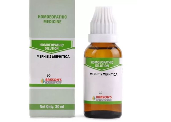 Mephitis Mephitica